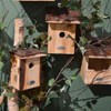 Best For Birds Blue Tit Nesting Box 20cm x 18cm