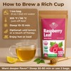 100 Bags Raspberry Leaf Tea Rasberry Leaf Herbs (Rubus Idaeus