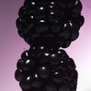 PHLUR Whipped Berry Duo – Full-Size Vanilla Blackberry & Heavy