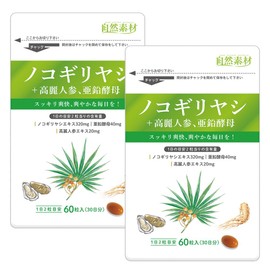 大日ヘルシーフーズ 自然力 ノコギリヤシ （ノコギリ椰子）60粒入 2袋 高麗人参 亜鉛 配合 サプリメント