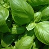 GranAroma Ground Basil, 13.2 oz, Peppery Flavor, Sauces & Dressings,