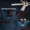 Rayqueen 52 Inch Ceiling Fans with Lights and Remote,Flush Mount