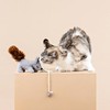 Fringe Studio "ONE TUFF NUT Teaser Cat Toy, PetShop Collection