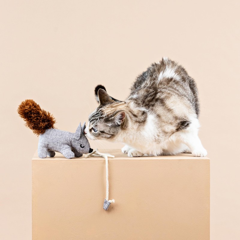 Fringe Studio "ONE TUFF NUT Teaser Cat Toy, PetShop Collection