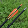 Hunter Ian Archery Carbon Arrow Hunting Arrows 28 Inch with