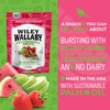 Wiley Wallaby 6 oz. Fruitrageous Drops Original Fruits Gourmet Australian