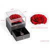 DEESOSPRO® Eternal Real Rose Gift Box with Necklace for Women,