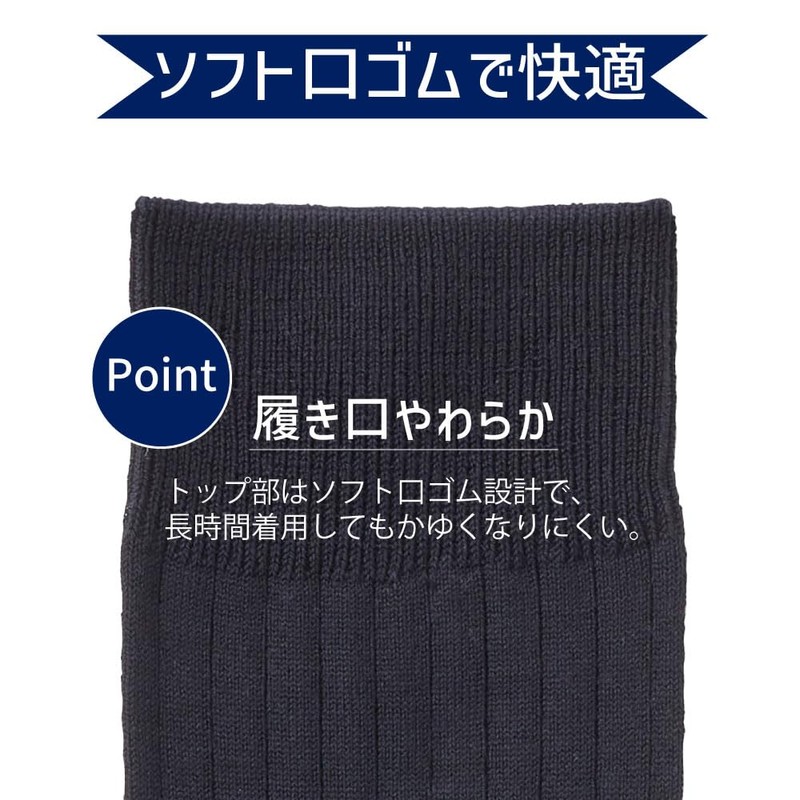 Gunze Business Socks, Men's POLO Polo, Flat Ribbe, One Point,