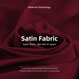 DGAZ Purse Organizer Insert Fits LV Neverfull Mini/PM/MM/GM Bags，Silk Bag Organizer，Luxury Handbag & Tote Shaper（PM, Rouge H）