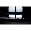 Ford 2016 2017 2018 2020 Mustang Shelby gt350 front splitter
