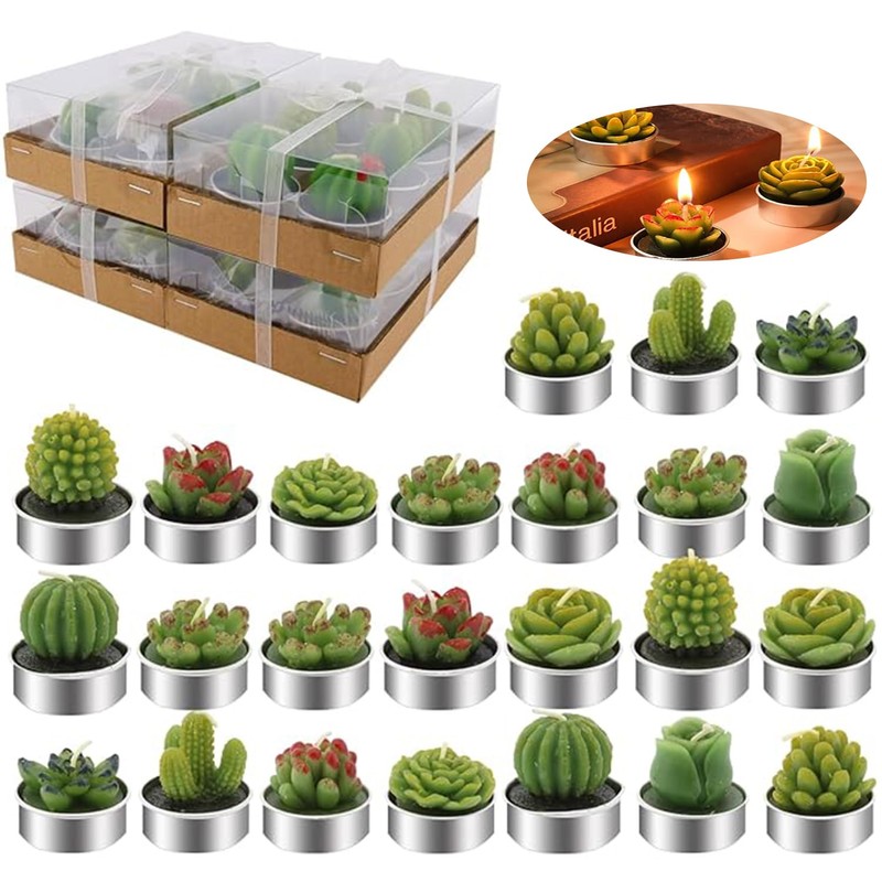 24 Velas de Cactus,Velas de Suculentas,Juego velas suculentas con caja