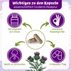 Leber Kur Kapseln - 13fach Komplex mit Bitterstoffen Mariendistel Artischocke