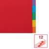 Esselte Leitz Register Karton A4 Multi-Colour 12 tabs multicoloured