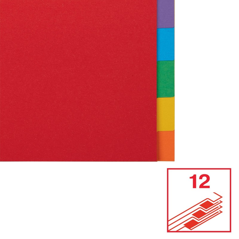 Esselte Leitz Register Karton A4 Multi-Colour 12 tabs multicoloured