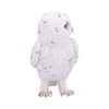 Nemesis Now Snowy Watch Small Figurine 13.3cm, White