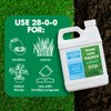 Maximum Green & Growth- High Nitrogen 28-0-0 NPK- Lawn Food