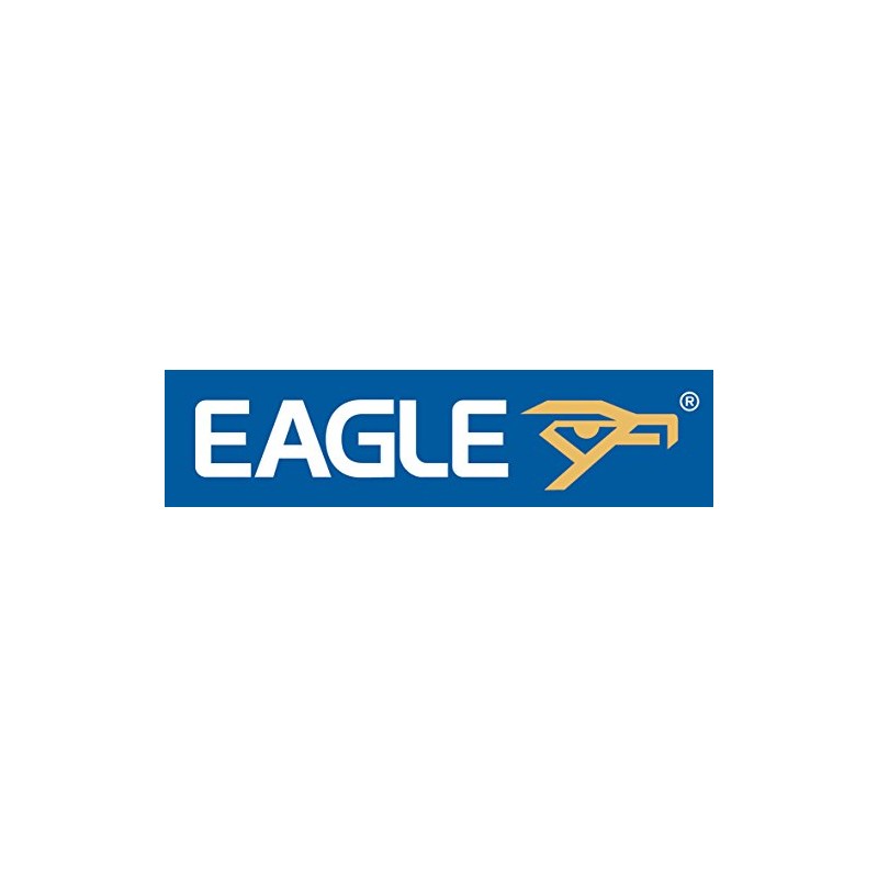 Eagle Dummy Dome Surveillance Camera