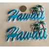 Unbranded (2)- “Hawaii” Embroidered Iron On Patches 5”x 2 1/2”