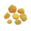 Natural Sea & Synthetic Sponges - Assorted Sizes 7pc Value