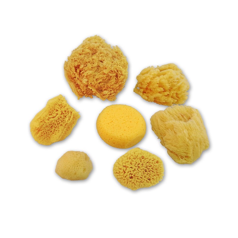 Natural Sea & Synthetic Sponges - Assorted Sizes 7pc Value