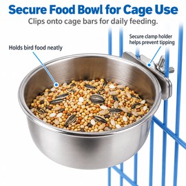 Stainless Steel Bird Feeding Cups for Food & Water – Clamp-On Cage Bowls for Parrots, Parakeets & Small Pets