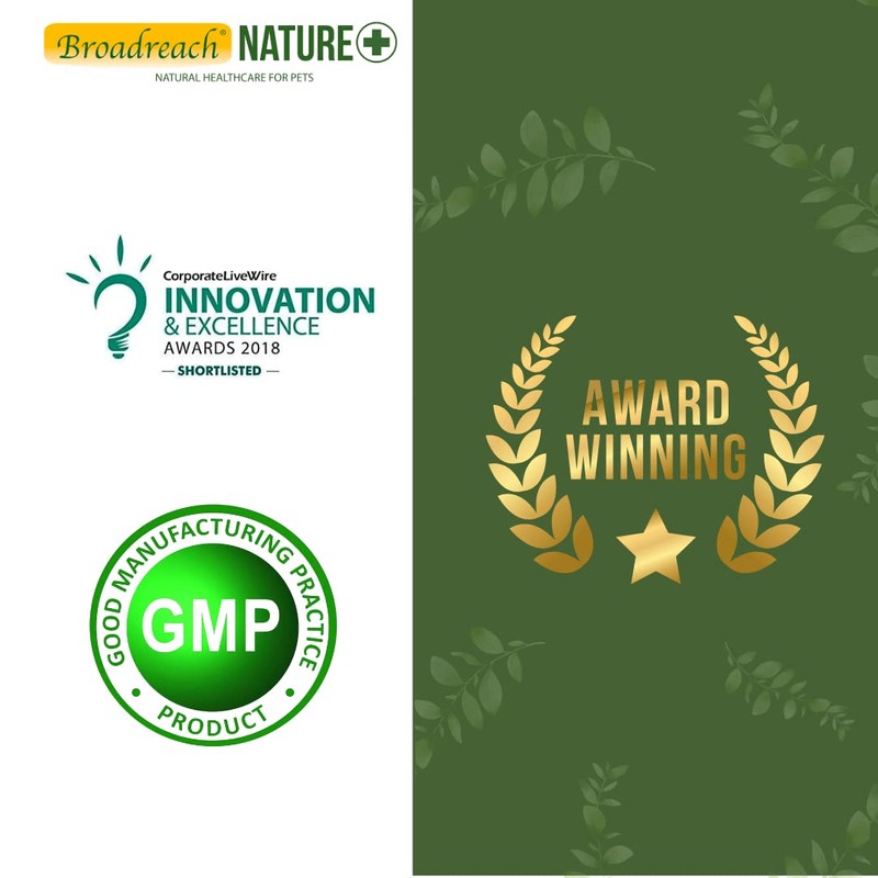 AWARD WINNING PROBIOTIC PASTE FOR DOGS | PRE AND PROBIOTICS
