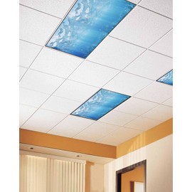 Gsypo Summer 4 Pcs Fluorescent Light Covers, Ocean Blue Sea Waves Underwater Magnetic Light Filters Shade Panel Light Covers for Ceiling Lights Classroom Office Home Ceiling Decoration, 4 x 2 Ft