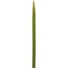 01312 Commercial Teppon Skewers, 4.7 inches (12 cm), Approx. 100