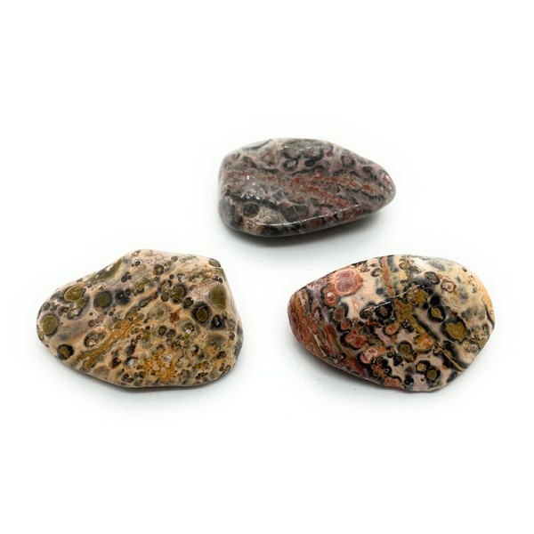 Energy In Harmony Leopard Skin Jasper Large Crystal Tumbled Stone