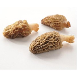 Northwest Wild Foods Dried Morel Mushrooms - Raw Handpicked Sundried of Pacific Northwest (8oz)