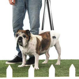 WALKABOUT™ Hoistabout Lift Harness for Large Dogs with Weak Legs, Arthritis, Hip Dysplasia, Pain, Injury, and Mobility Issues (Medium)