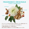 Moroccanoil Treatment 50ml