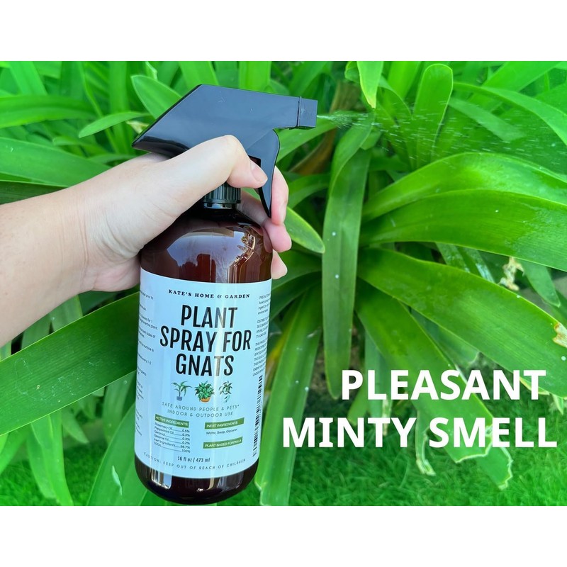 Kate's Garden Plant Spray for Insects & Getting Rid of
