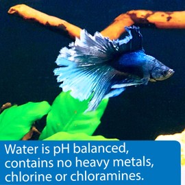 Betta Water, 64 OZ