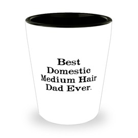 Special Domestic Medium Hair Cat Shot Glass, Best Domestic Medium Hair Dad Ever, Present For Friends, Cute Gifts From Friends, Domestic medium hair cat birthday present, Domestic medium hair cat