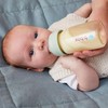 b.box PPSU Breastfed Baby Bottle, Sage, 180 ml Capacity