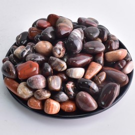 SigMntun Polished Petrified Wood Crystal Stone Set - 10 oz Handpicked Tumbled Gemstones Rocks, Pebbles for Reiki, Chakra, Healing, Petrified Wood 0.5" -10 oz