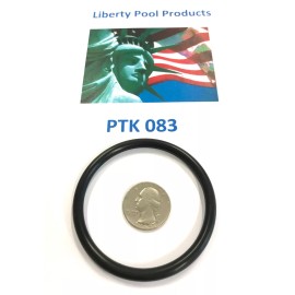 POOLTEK USA REPLACEMENT- O-RING 10PK UNION / DIFFUSER O-RING