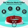 VP Leather Martin Collar – Stylish Adjustable Neck Collar for