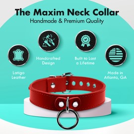 VP Leather Martin Collar – Stylish Adjustable Neck Collar for Men & Women - Top Grain Leather & Soft Lambskin, Fashionable Design w/Nickel Plated Buckles, Eyelets, Studs & O-Ring (Red, Large)