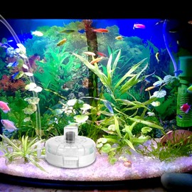 KALIONE Small Aquarium Filter, Mini Aquarium Sponge Filter, Small Filter for Fish Tank, Transparent Turtle Tank Filter, Small Fish Tank Water Filter for 2-6 Gallon Aquarium Betta Fish Tank