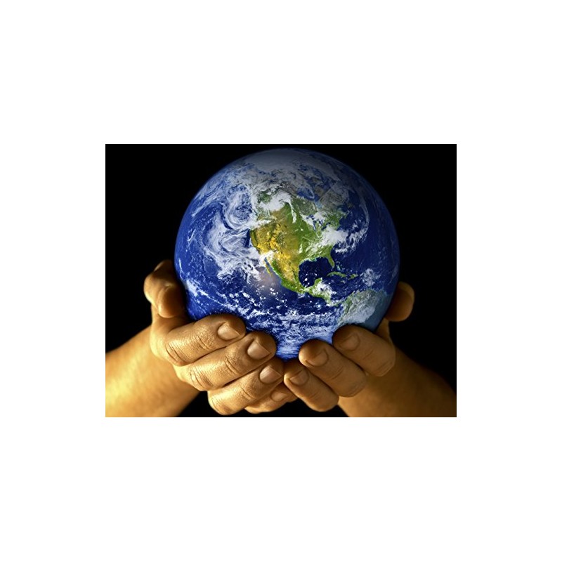 10046 3D Lenticular Postcard / Hologram Postcard Climate Protection The