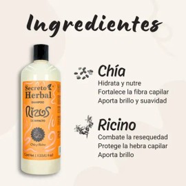 Shampoo Natural Rizos Secreto Herbal Chía Y Ricino 1l