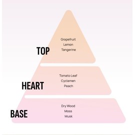 AREON Garden - Hanging Cardboard Air Freshener for Car - CAR Perfume Air Freshener with Natural Fragrances - Long Lasting, Fresh Flowers- Stylish Design - French Garden, Pack of 3