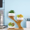 Gearific Succulent Pots, Ceramic Flower Pot with Bamboo Tray Holder,