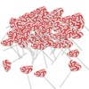 RED HEART SHAPED SWIRL POP - Edibles - 12 Pieces