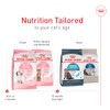 Royal Canin Croquetas para Gatos, Kitten, 3.17 kg (El empaque