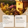 Honey Bee Attractant,Carpenter Bee Trap For Outside, Bees Attractant Swarm