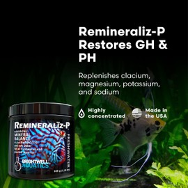 Brightwell Aquatics Remineraliz P - Reconstitutes Reverse Osmosis, Deionized, or Distilled Water for Freshwater Aquarium Use 1000-g
