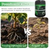 KFFNHH Premium Biochar Soil Conditioner 19.4oz, Soil Activator for Plants,
